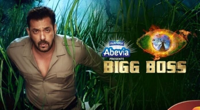 Big Boss Season 17 Contestants Names List, Photos and Launch Date. Bigg Boss S15